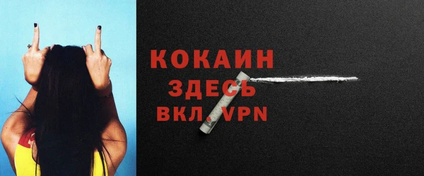прущие грибы Абаза