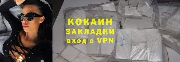 прущие грибы Абаза