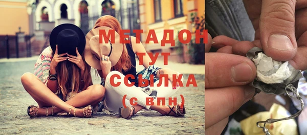 прущие грибы Абаза