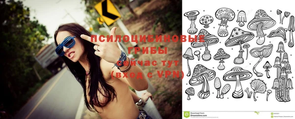 ПСИЛОЦИБИНОВЫЕ ГРИБЫ Алексеевка