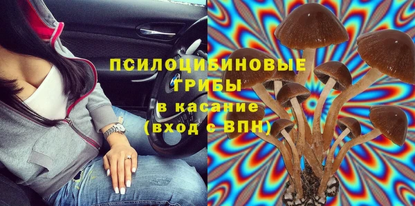 прущие грибы Абаза