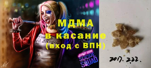 прущие грибы Абаза