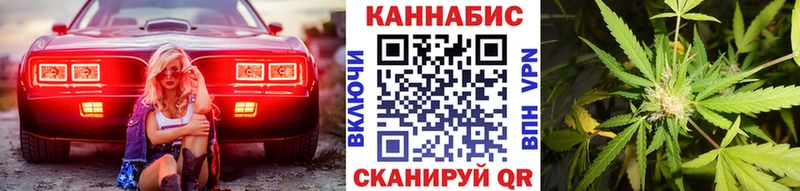Каннабис OG Kush  Грозный 
